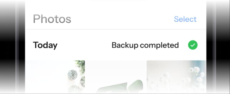 Internxt Mail